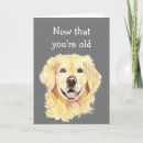 Search for bodies cards Dog