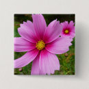 Search for cosmos badges Nature
