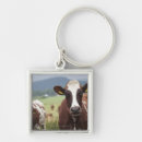 Search for agriculture accessories Togetherness