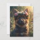 Search for white german shepherd postcards Gsd
