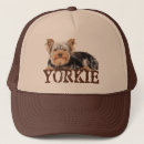 Search for yorkies hats Yorkshire terrier