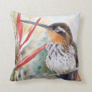 Search for rainforest cushions Brazil