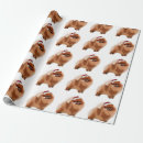Search for pomeranian wrapping paper Pommie