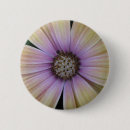 Search for purple daisy badges Flowers