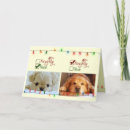 Search for naughty or nice cards Dogs