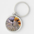 Search for wild duck key rings Nature