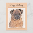 Search for griffon postcards Dog