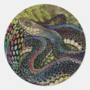 Search for snake skin stickers Reptile
