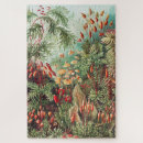 Search for tropical plant puzzles Ernst haeckel