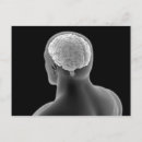 Search for human brain postcards Side view