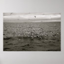 Search for iceland posters Nature