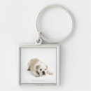 Search for tanning key rings Animals