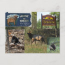 Search for thunder postcards Cool