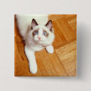 Search for view badges One animal