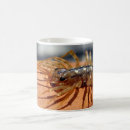 Search for translucent mugs Animal