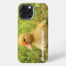 Search for duckling iphone cases Bird