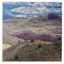 Search for fossil tiles Oregon