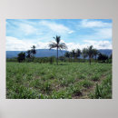 Search for remote art Scenic