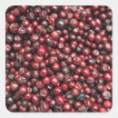 Search for himalaya stickers Asia