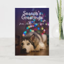 Search for siberian husky christmas cards Dog