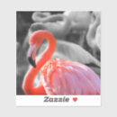 Search for creative art stickers Photography