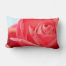 Search for rosy Red