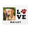 Search for paw print magnets Puppy