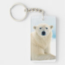 Search for carnivorous key rings Bear