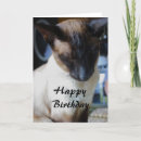 Search for siamese cat birthday cards Pet