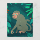 Search for funny monkey postcards Zoo