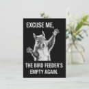 Search for funny squirrels invitations Humour