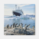 Search for antarctica magnets No people