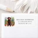 Search for chocolate labrador return address labels Dog