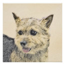 Search for norwich posters Terrier