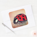 Search for ladybug stickers Insects
