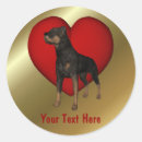 Search for rotty stickers Pet