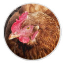 Search for chicken knobs and pulls Poultry