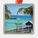 Search for key west christmas tree decorations United states