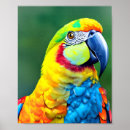Search for colourful parrot posters Watercolor