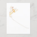 Search for dried postcards Floral