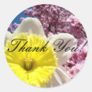 Search for daffodil flower stickers Thank you