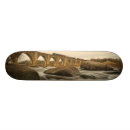 Search for exposure skateboards Motion
