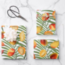 Search for mango fruit wrapping paper Pattern