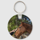 Search for gentleness photography Horse