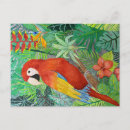 Search for bird print postcards Watercolor