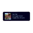 Search for cherry tree return address labels Flower