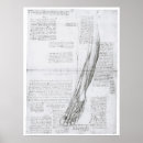 Search for leg muscle art Anatomy