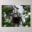 Search for tree face posters Photography