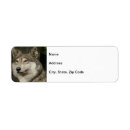 Search for gray wolf return address labels Animal