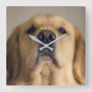 Search for dog nose art Puppy
